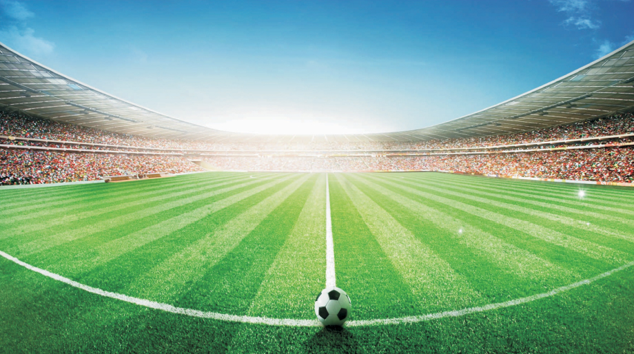 人造草坪 人造草坪