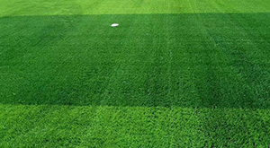 人造草坪的分類有哪些？